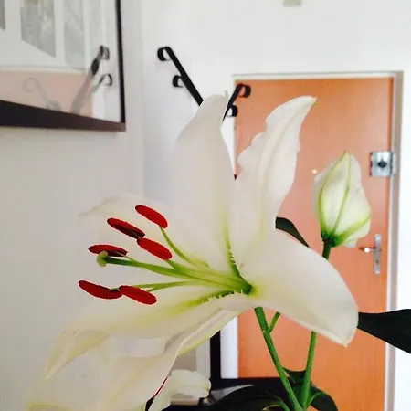 Bed & Breakfast Przystanek Mdm Varsavia